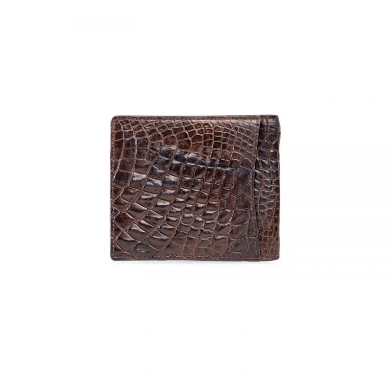 Brown walet